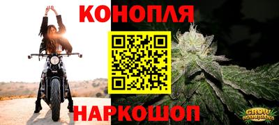 spice Берёзовский
