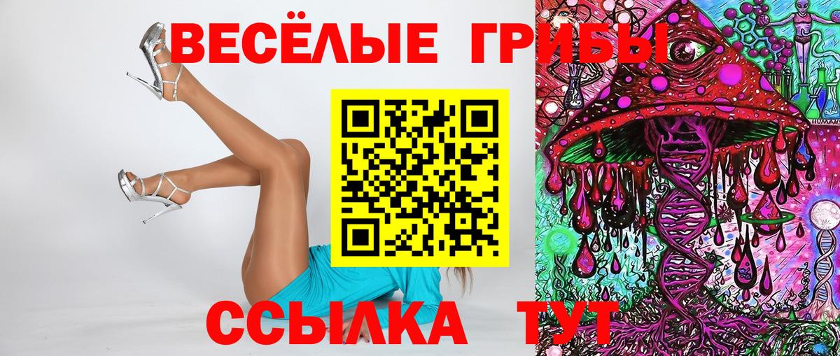 Галлюциногенные грибы ЛСД  Брянск  закладки  Псилоцибиновые грибы ЛСД 