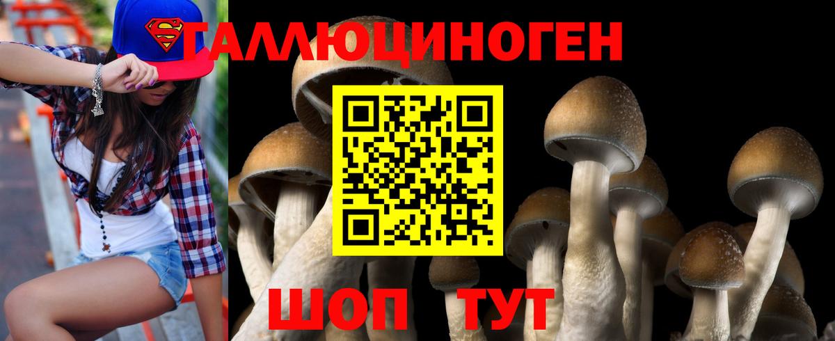 Галлюциногенные грибы Psilocybe Брянск